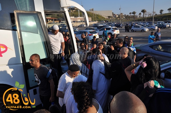 mo3tmreenkej (54).JPG